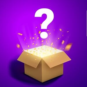 Mystery Bundle Of 13 Women's Asst. Tops And Clothing